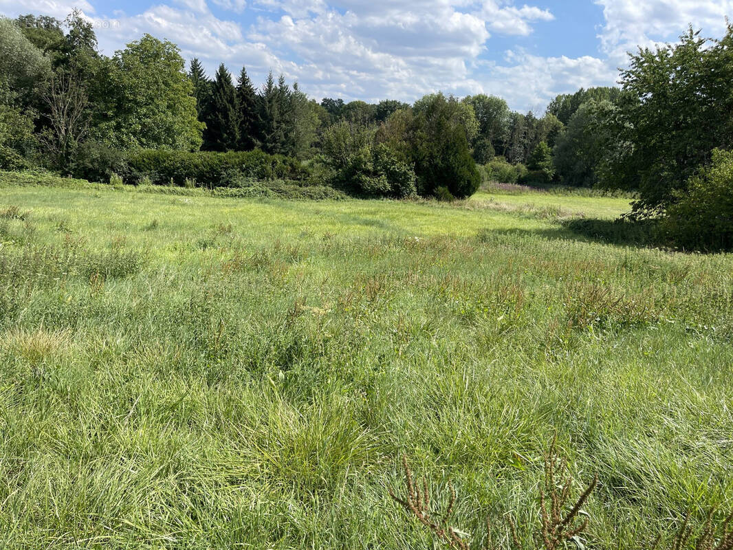 Terrain à CHATILLON-SUR-LOIRE