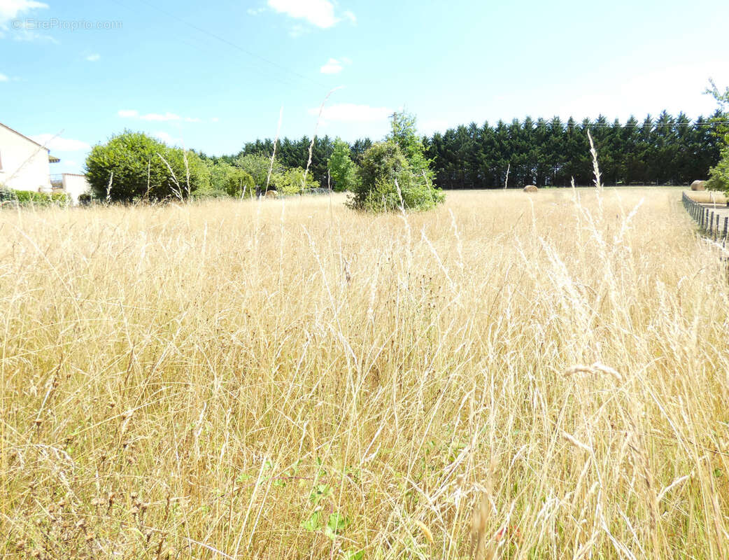 Terrain à TOCANE-SAINT-APRE
