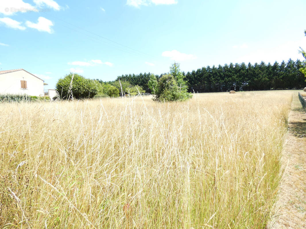 Terrain à TOCANE-SAINT-APRE