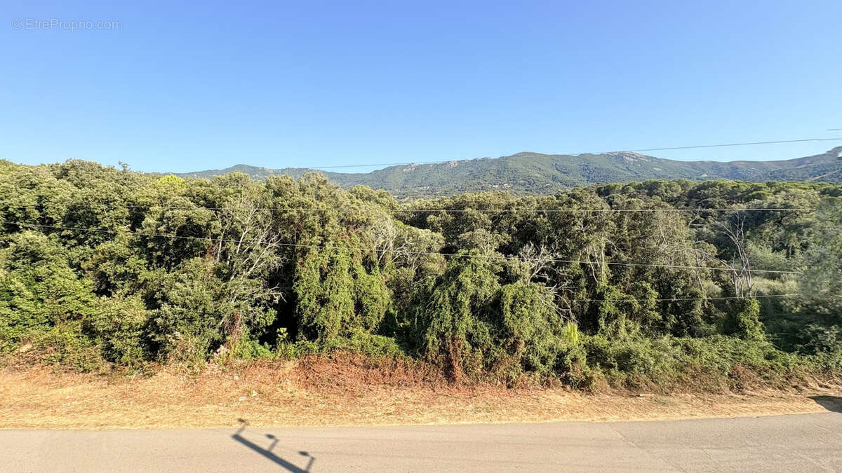 Appartement à CALCATOGGIO