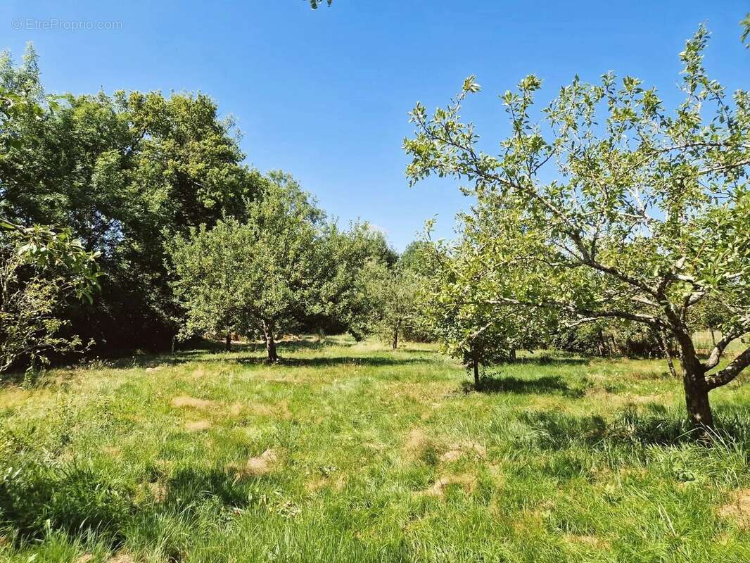 Maison à VAUREILLES