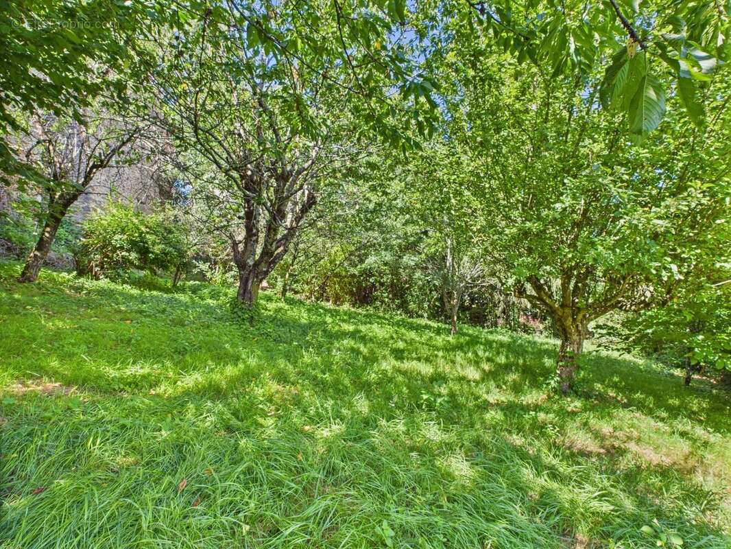 Appartement à RIEUPEYROUX