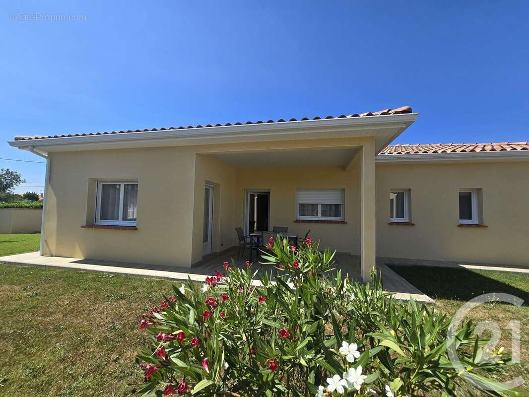 Maison à MONTESQUIEU-VOLVESTRE