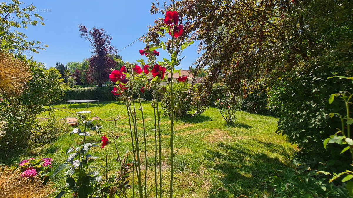 Maison à AIX-EN-ISSART