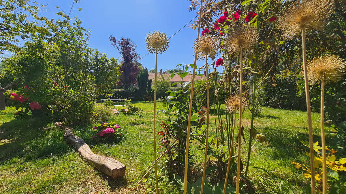 Maison à AIX-EN-ISSART
