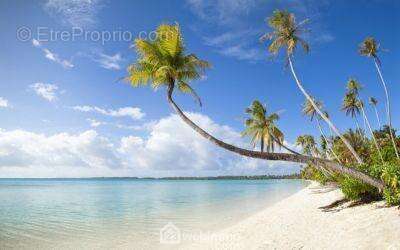 Maison à SAINT-PIERRE