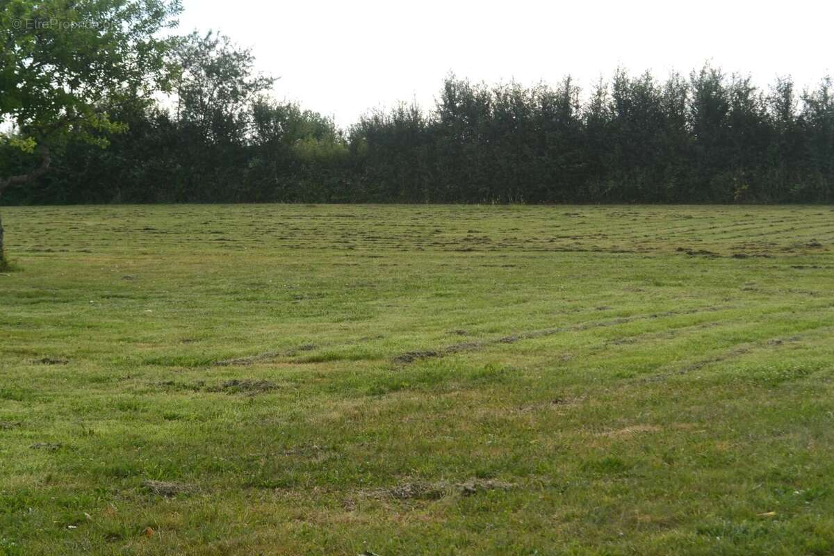 Maison à MARCHESEUIL