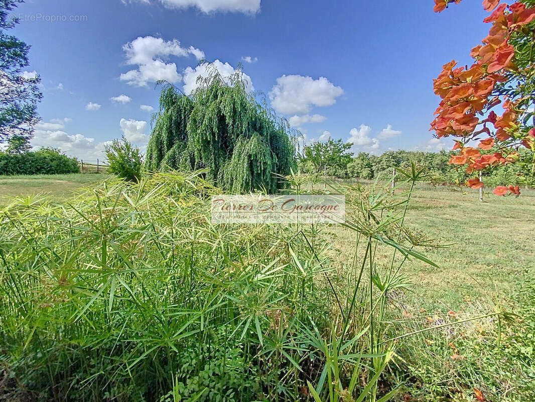 Maison à CASTERA-VERDUZAN