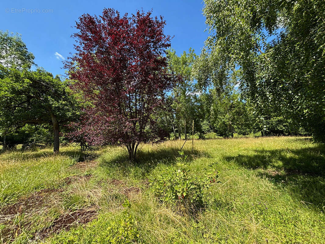 Maison à NOGENT-LE-ROI