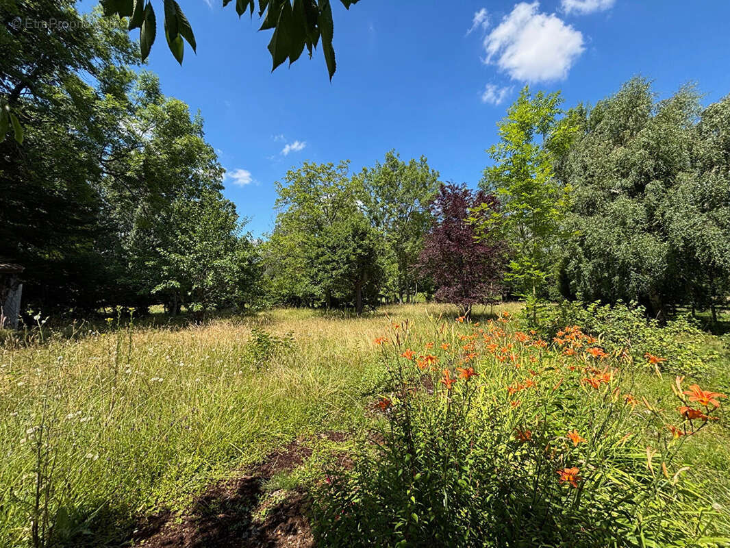 Maison à NOGENT-LE-ROI