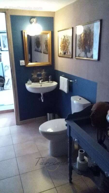 Maison à ALBA-LA-ROMAINE