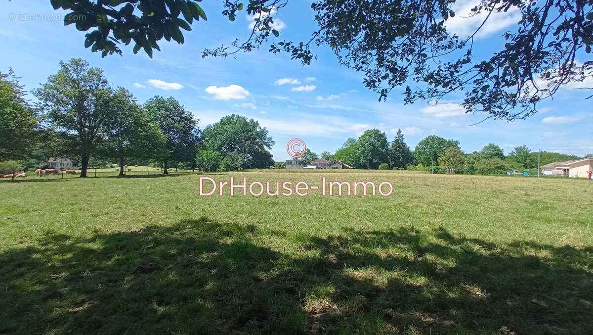 Terrain à SAINT-FRONT-D'ALEMPS