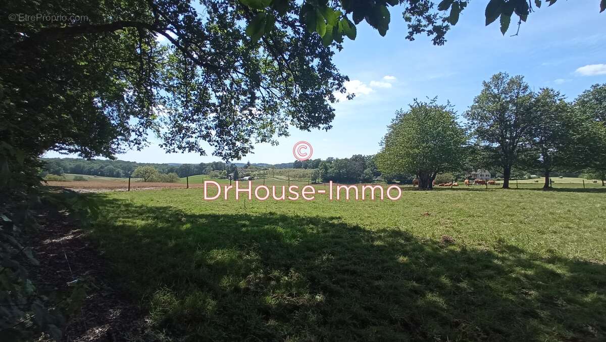 Terrain à SAINT-FRONT-D'ALEMPS