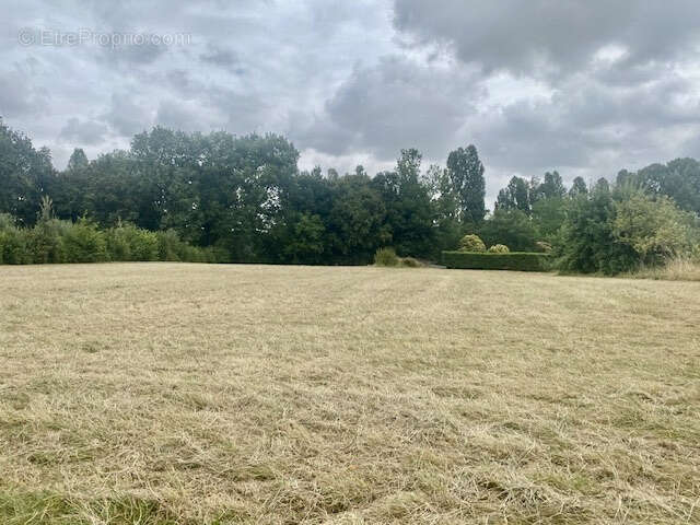 Terrain à SAINT-JEAN-POUTGE