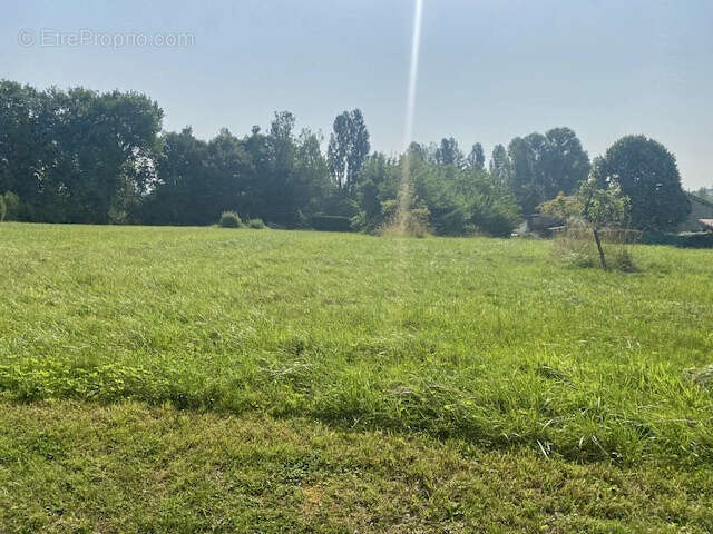 Terrain à SAINT-JEAN-POUTGE