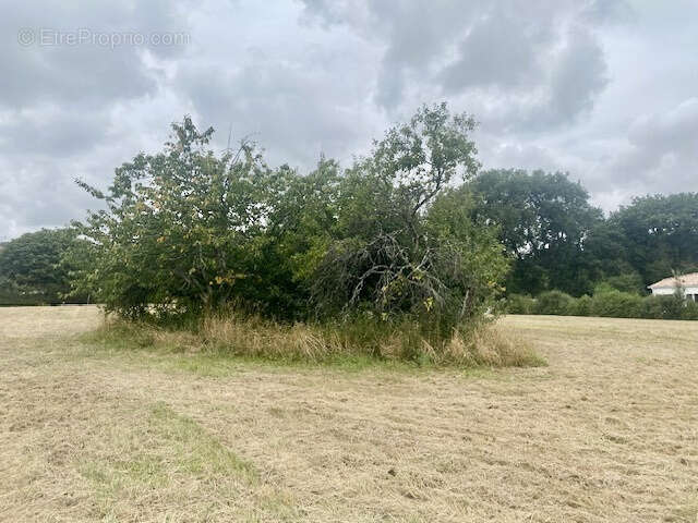 Terrain à SAINT-JEAN-POUTGE