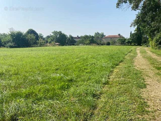 Terrain à SAINT-JEAN-POUTGE