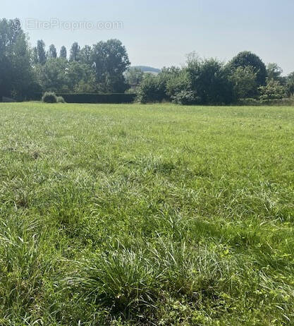 Terrain à SAINT-JEAN-POUTGE