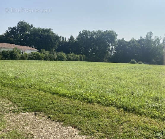 Terrain à SAINT-JEAN-POUTGE