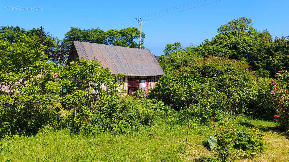 Maison à VEULES-LES-ROSES