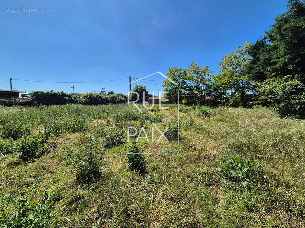 Terrain à SAINT-CLAIR