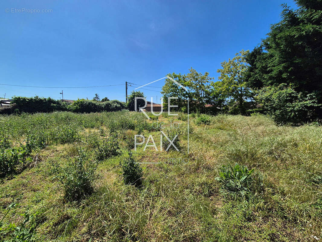 Terrain à SAINT-CLAIR