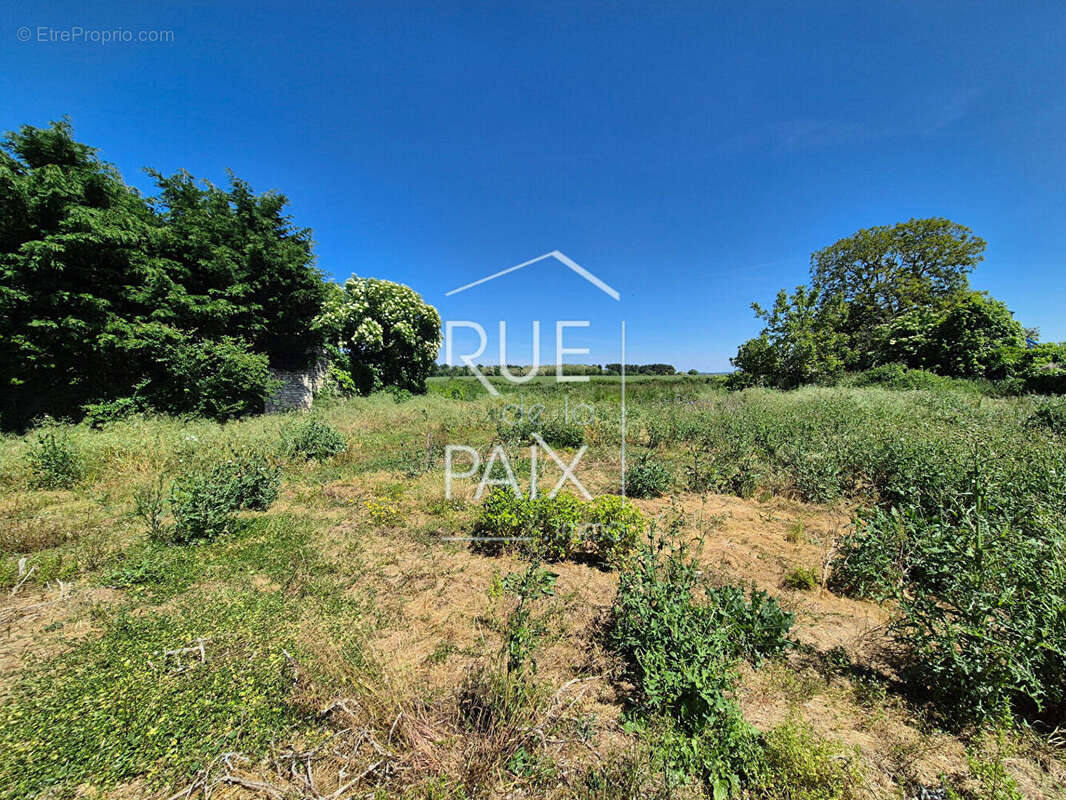 Terrain à SAINT-CLAIR