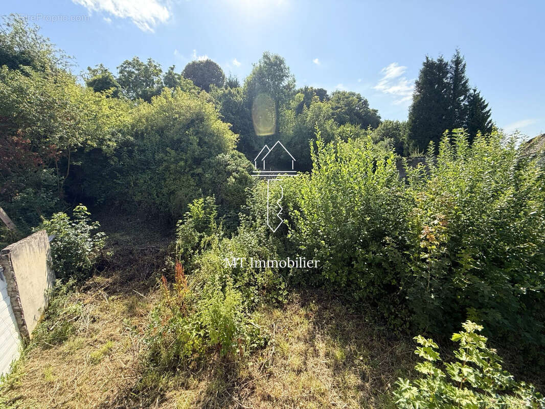 Terrain à BEAURAINVILLE