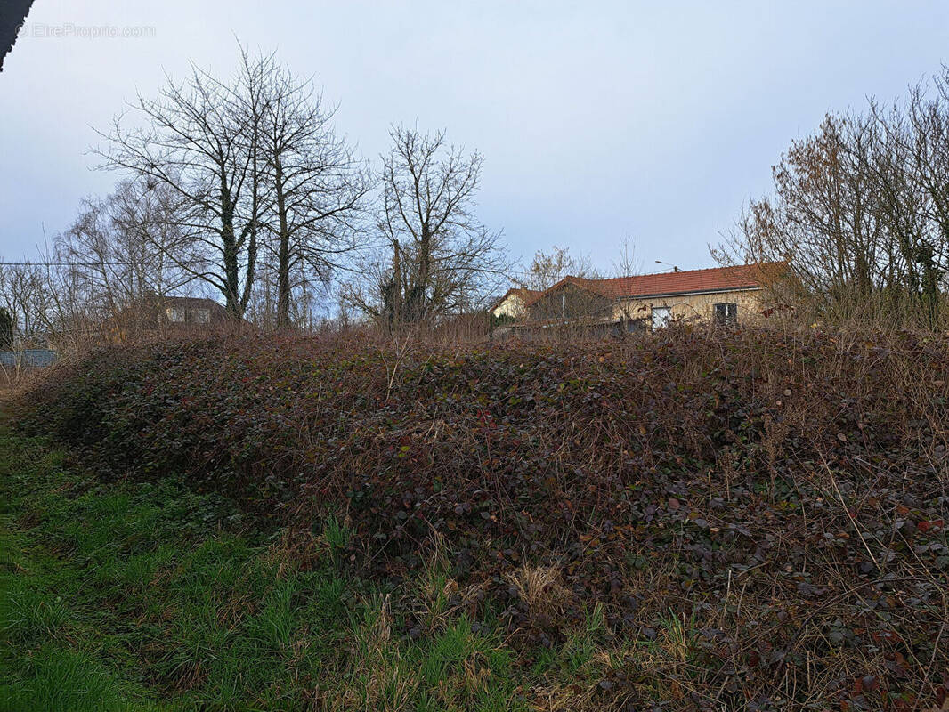 Terrain à CHARBOGNE