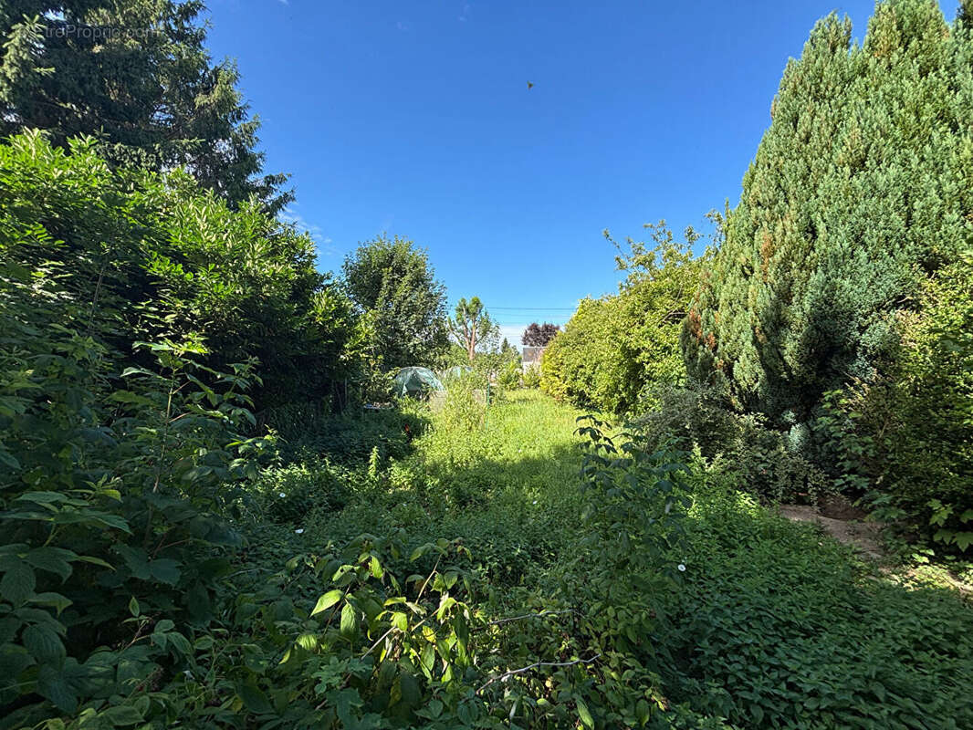 Maison à MARLY-GOMONT