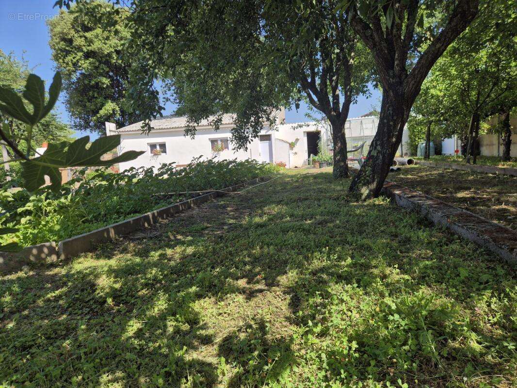 Terrain à SAINTE-FOY