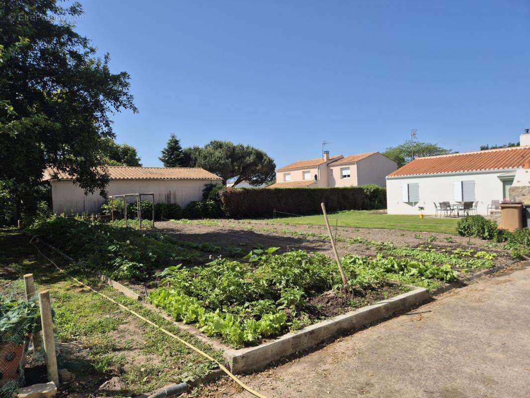 Terrain à SAINTE-FOY