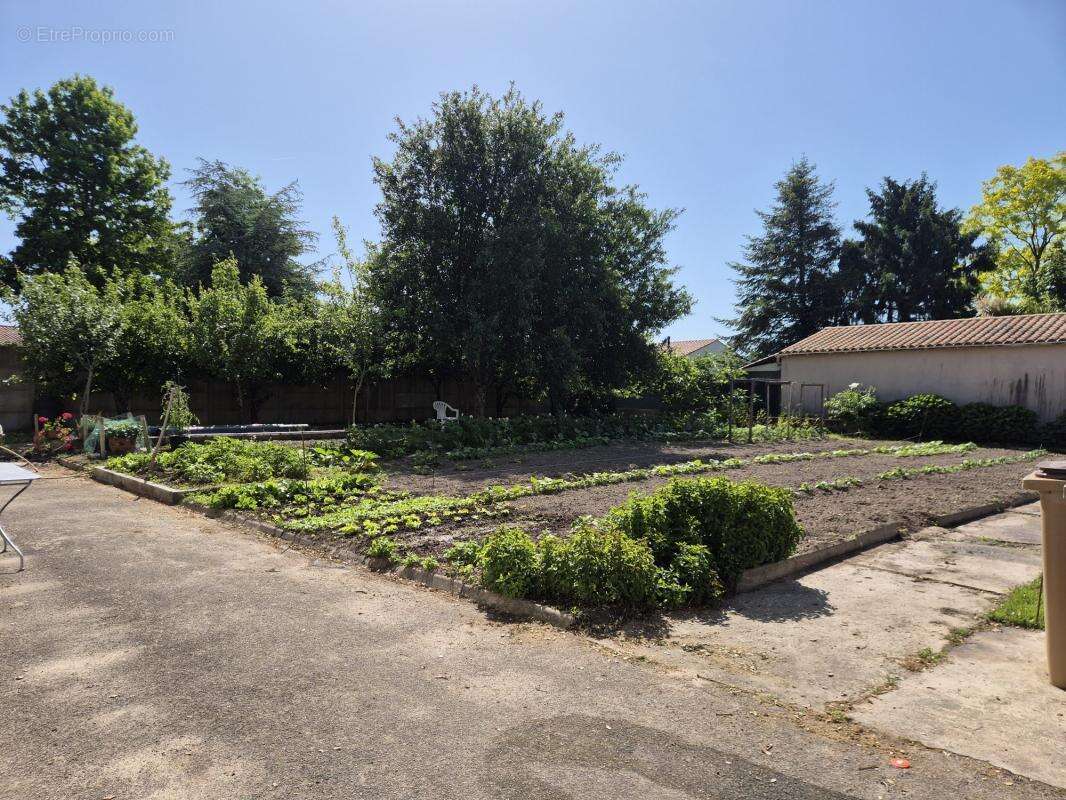 Terrain à SAINTE-FOY