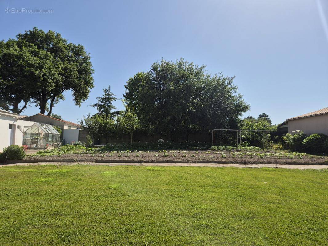 Terrain à SAINTE-FOY