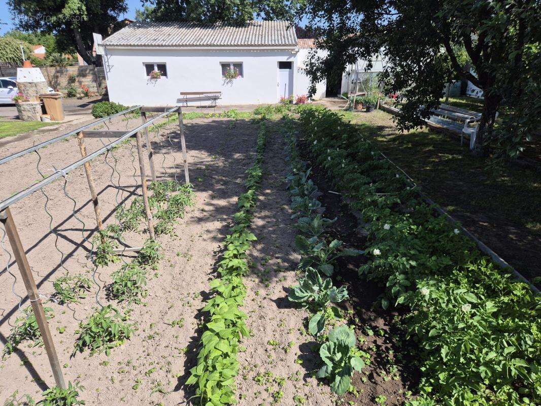 Terrain à SAINTE-FOY