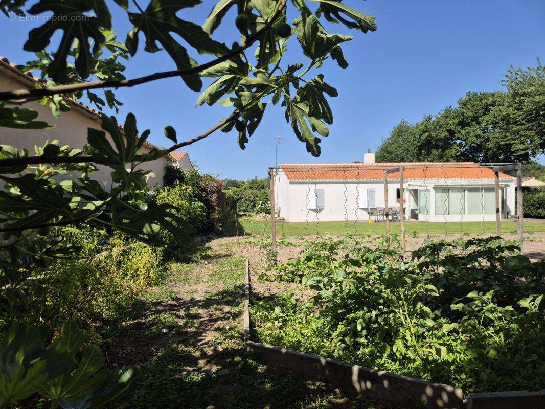 Terrain à SAINTE-FOY