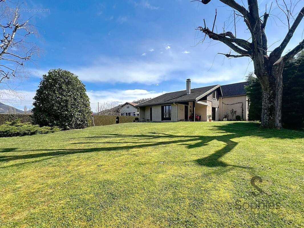 Maison à BRIE-ET-ANGONNES