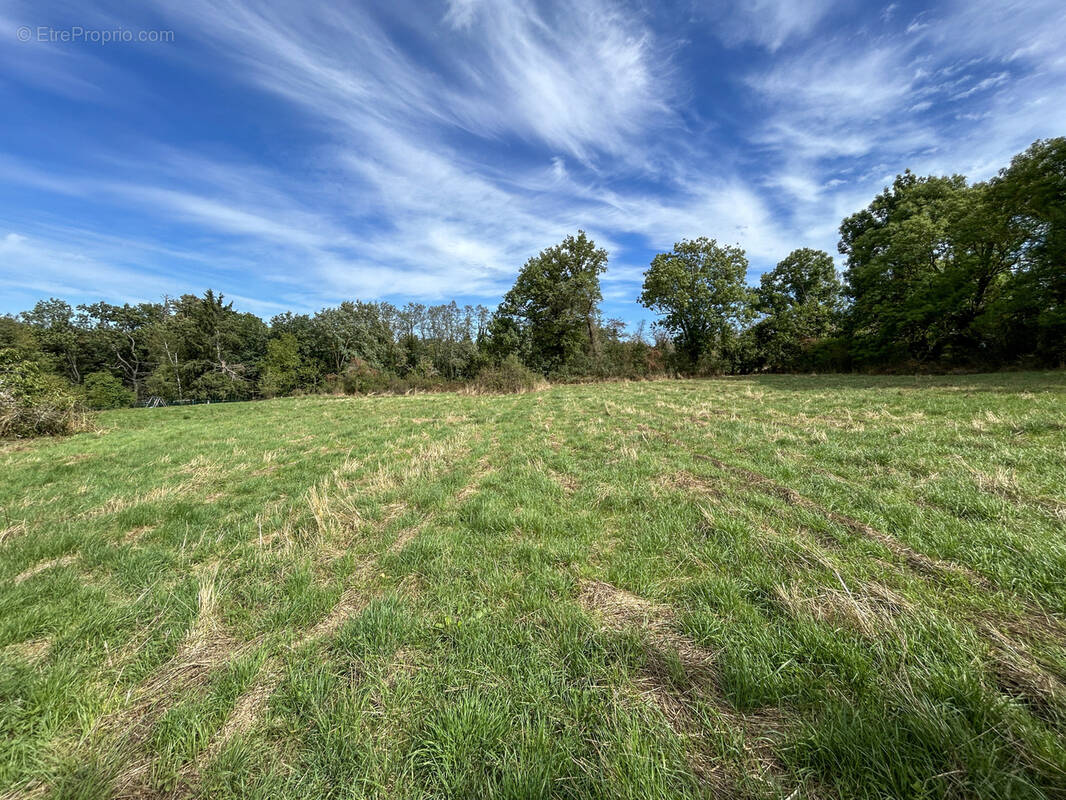 Terrain à COMMENTRY
