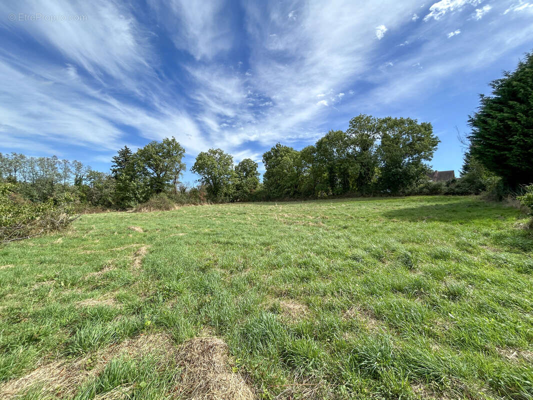 Terrain à COMMENTRY