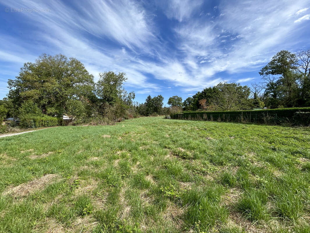 Terrain à COMMENTRY