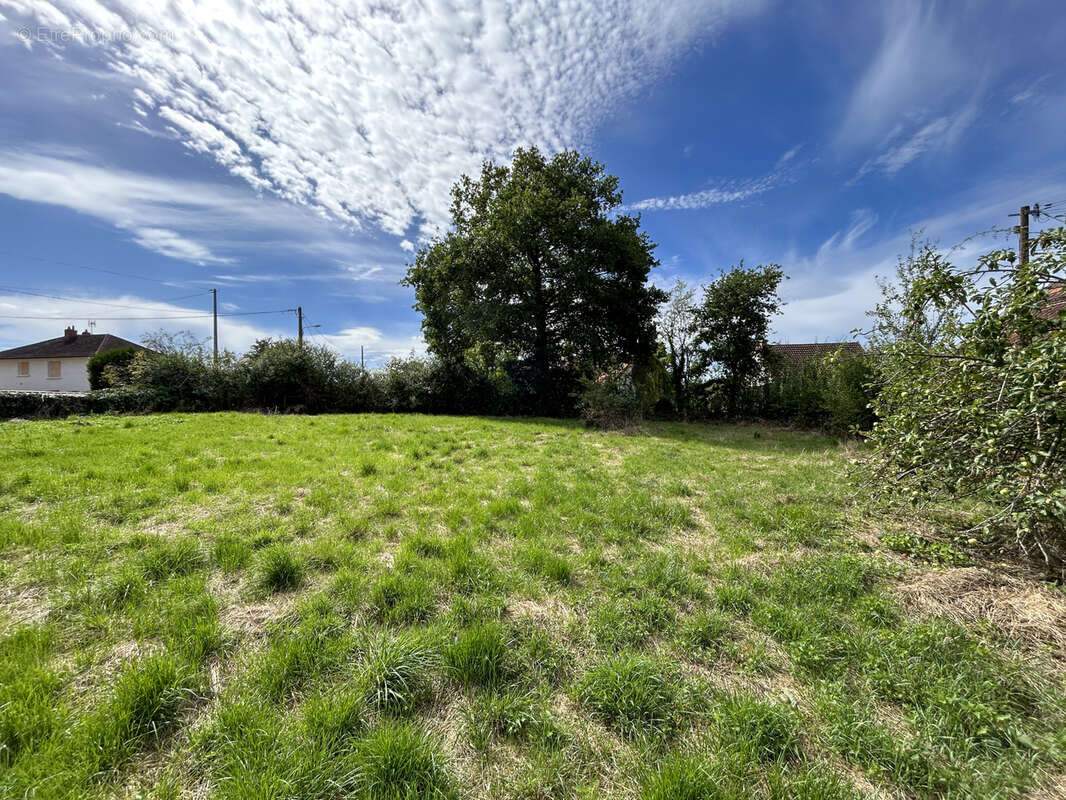 Terrain à COMMENTRY