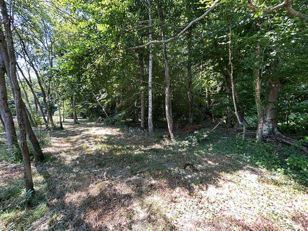 Terrain à SAINT-DESIRE