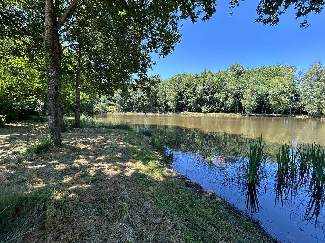 Terrain à SAINT-DESIRE