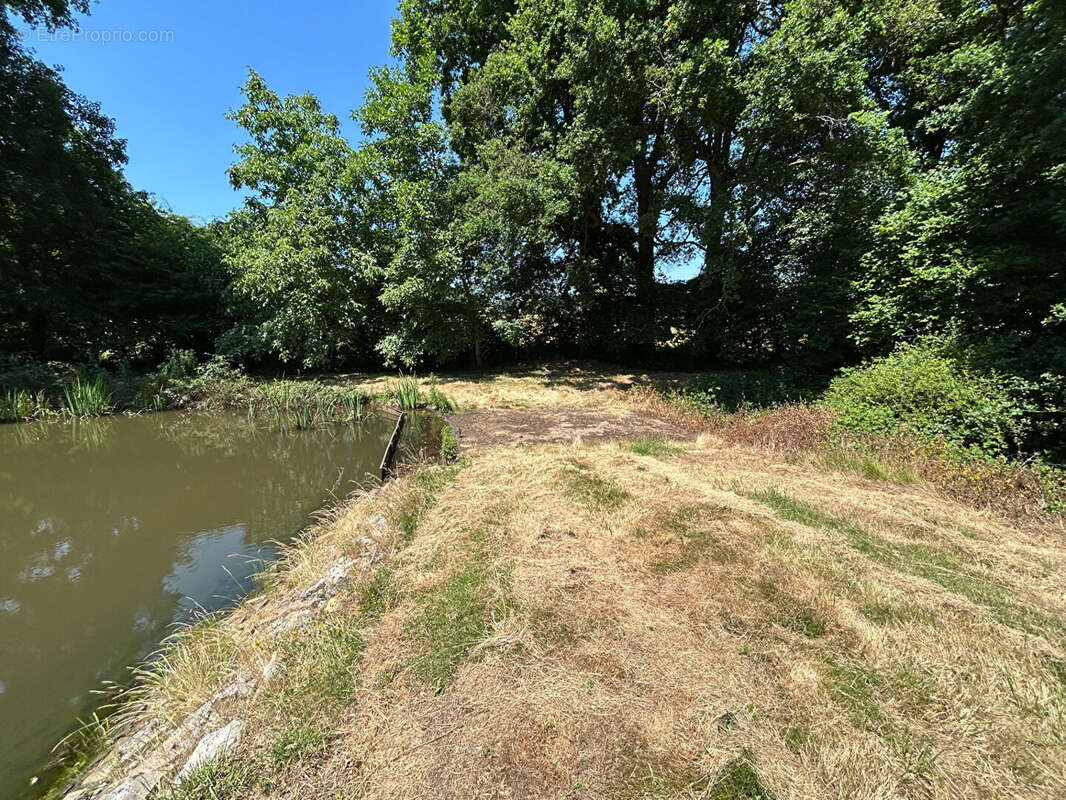 Terrain à SAINT-DESIRE
