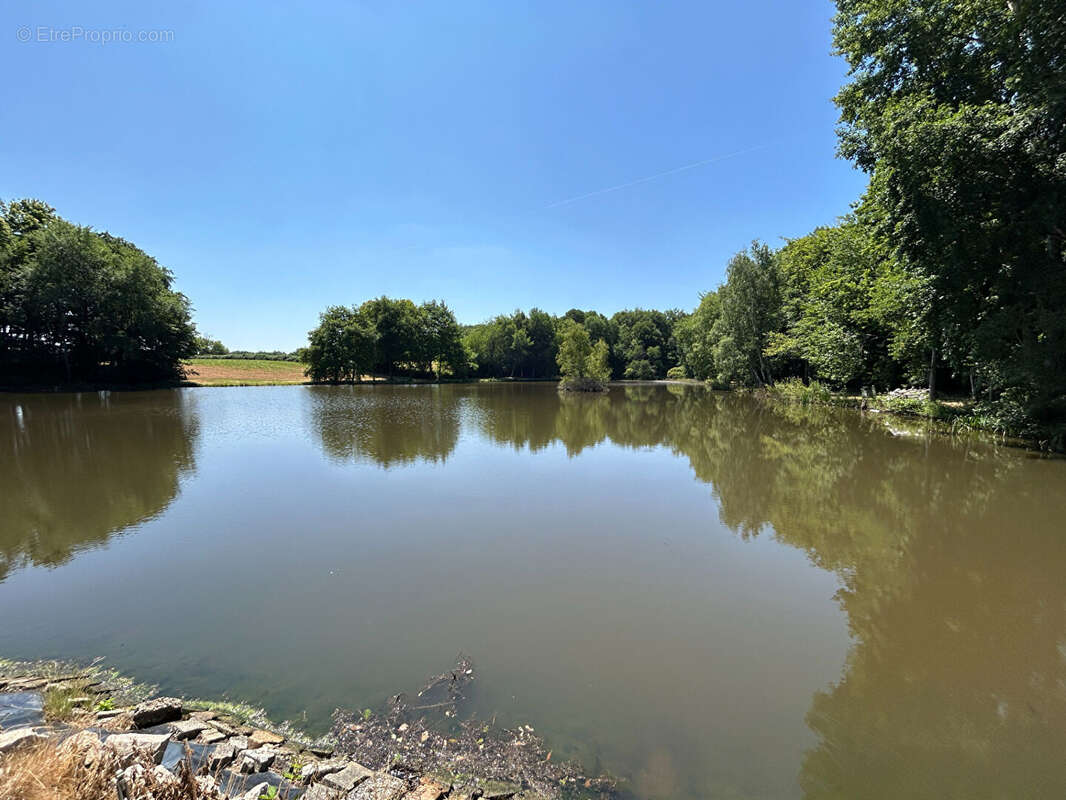 Terrain à SAINT-DESIRE
