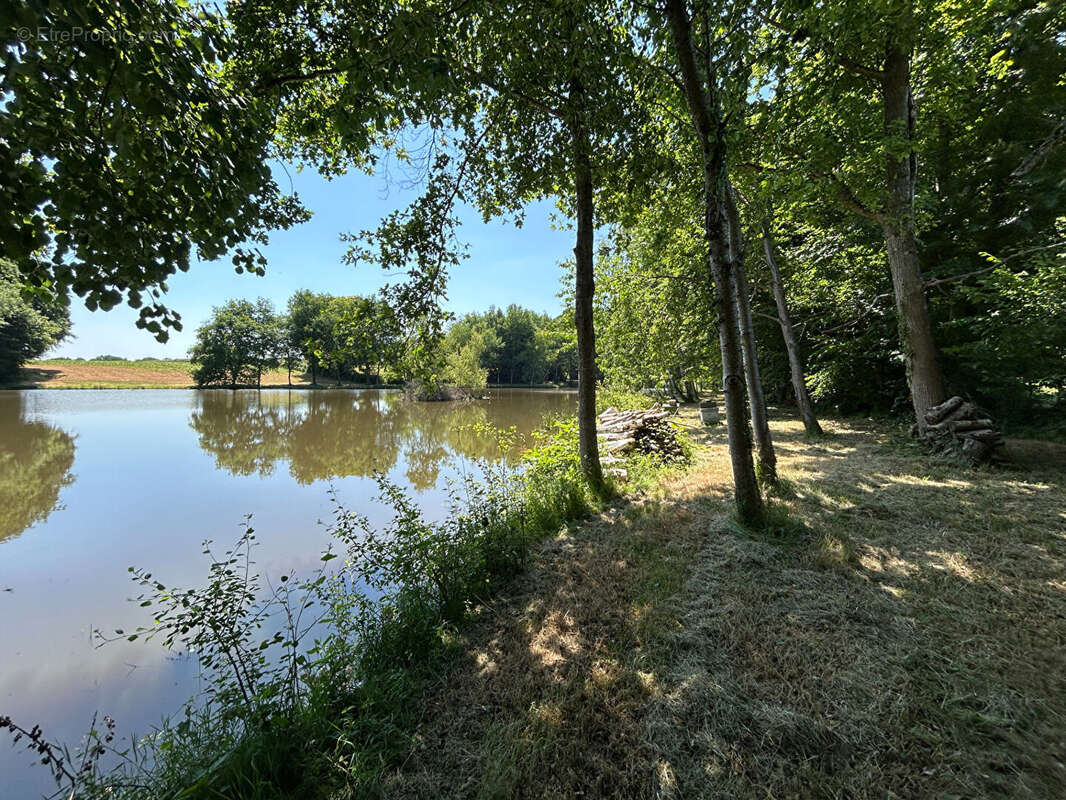 Terrain à SAINT-DESIRE