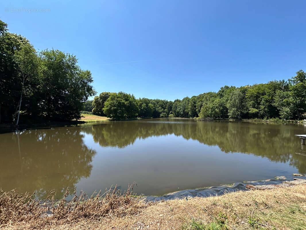 Terrain à SAINT-DESIRE