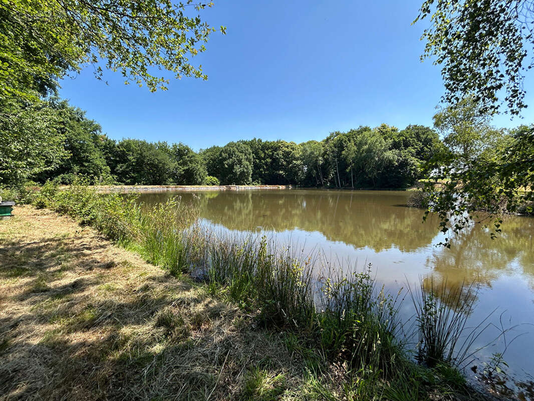 Terrain à SAINT-DESIRE