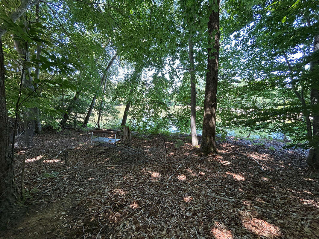 Terrain à SAINT-DESIRE