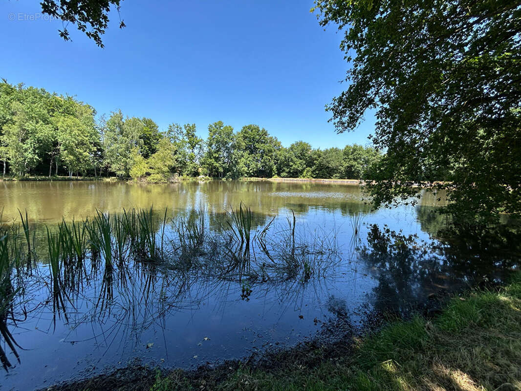 Terrain à SAINT-DESIRE